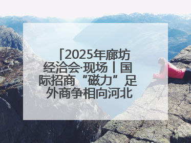 2025年廊坊经洽会·现场丨国际招商“磁力”足 外商争相向河北推介项目
