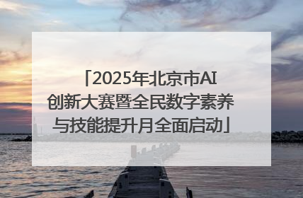 2025年北京市AI创新大赛暨全民数字素养与技能提升月全面启动