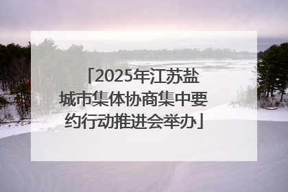 2025年江苏盐城市集体协商集中要约行动推进会举办