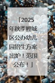 2025年秋季鲤城区公办幼儿园招生方案出炉！范围公布！