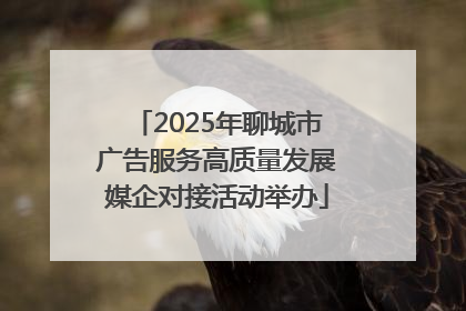 2025年聊城市广告服务高质量发展媒企对接活动举办