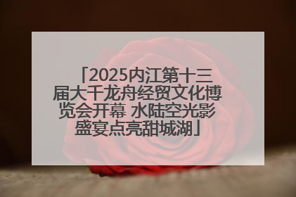 2025内江第十三届大千龙舟经贸文化博览会开幕 水陆空光影盛宴点亮甜城湖