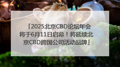 2025北京CBD论坛年会将于6月11日启幕！将延续北京CBD跨国公司活动品牌