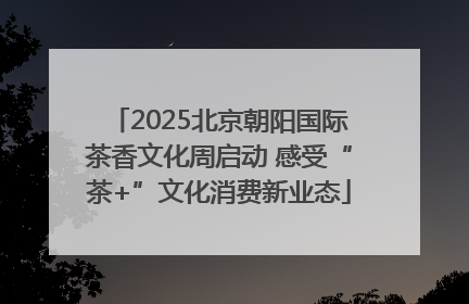 2025北京朝阳国际茶香文化周启动 感受“茶+”文化消费新业态