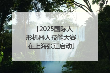 2025国际人形机器人技能大赛在上海张江启动