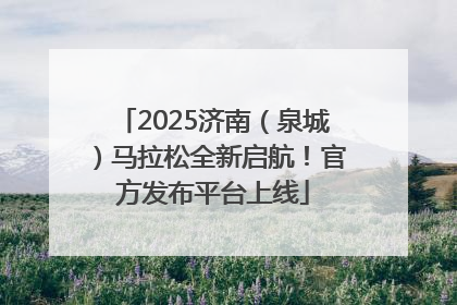 2025济南（泉城）马拉松全新启航！官方发布平台上线