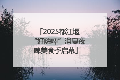 2025都江堰“好嗨啤”消夏夜啤美食季启幕