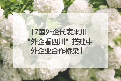 7国外企代表来川 “外企看四川”搭建中外企业合作桥梁