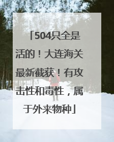 504只全是活的！大连海关最新截获！有攻击性和毒性，属于外来物种