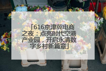 616京津冀电商之夜：点亮时代空港产业园，开启永清数字乡村新篇章