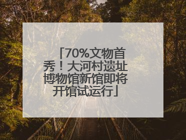 70%文物首秀！大河村遗址博物馆新馆即将开馆试运行