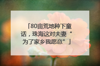 80亩荒地种下童话,珠海这对夫妻“为了家乡我愿意”