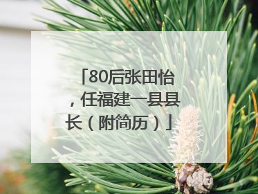 80后张田怡，任福建一县县长（附简历）