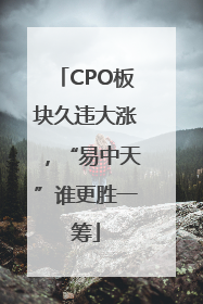 CPO板块久违大涨，“易中天”谁更胜一筹