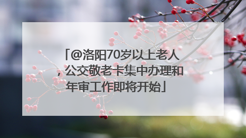 @洛阳70岁以上老人，公交敬老卡集中办理和年审工作即将开始