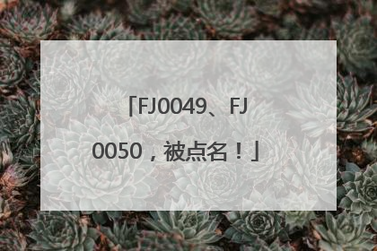 FJ0049、FJ0050，被点名！